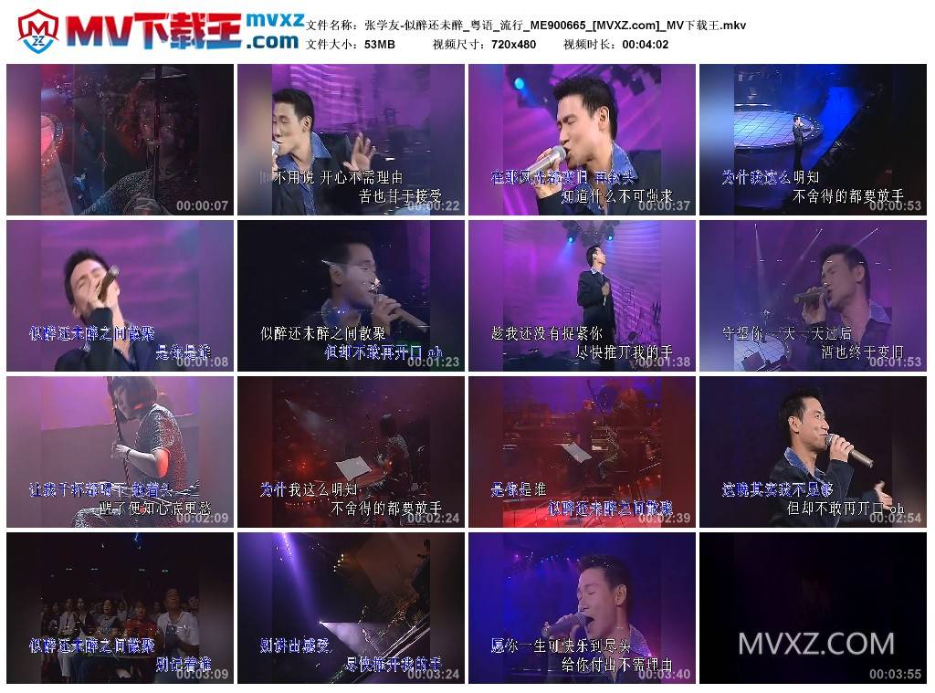 张学友-似醉还未醉_粤语_流行_ME900665